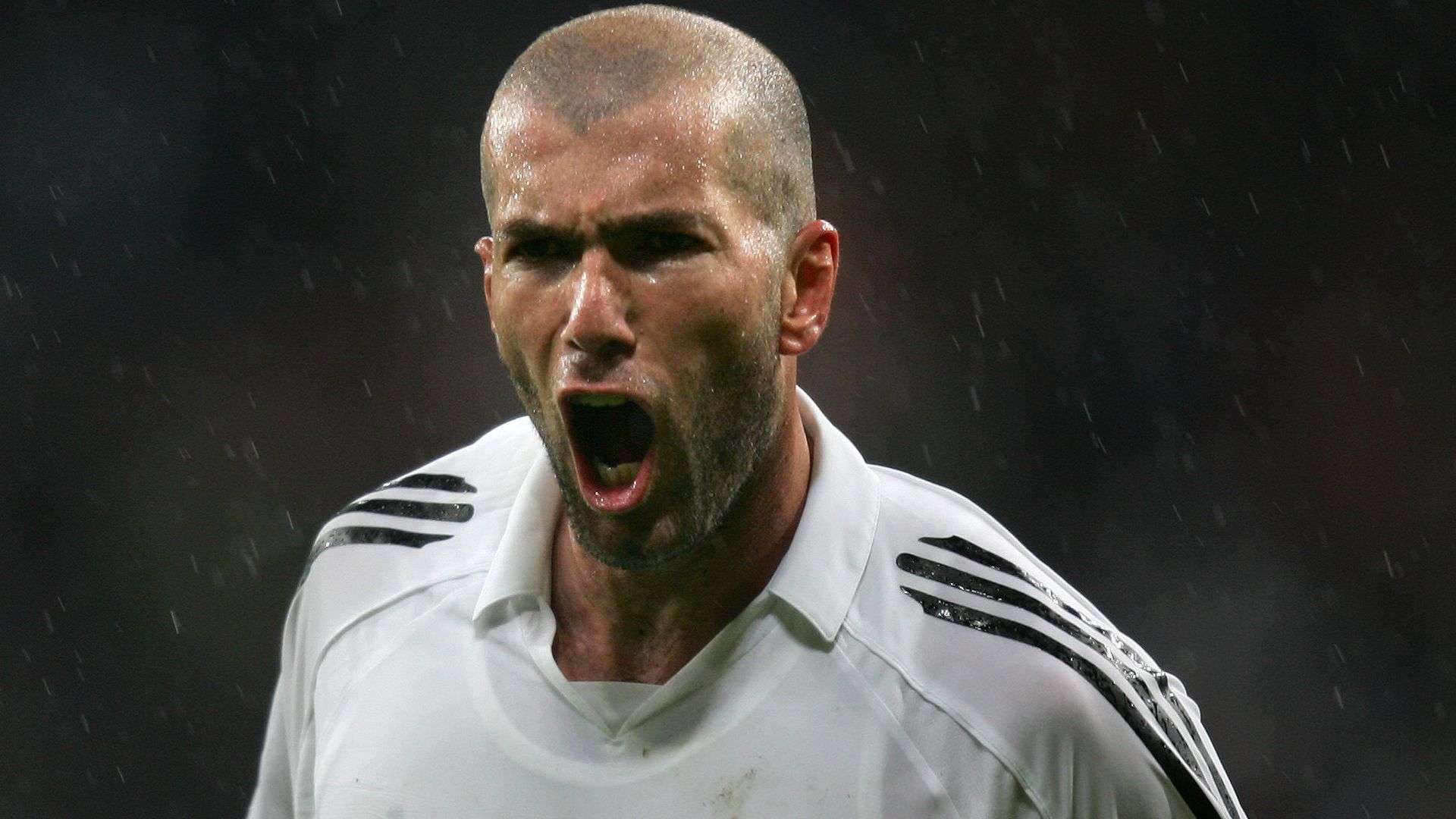 能如愿以偿 能如愿以偿